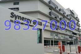 SYNERGY @ KB (D14), Factory #65136702